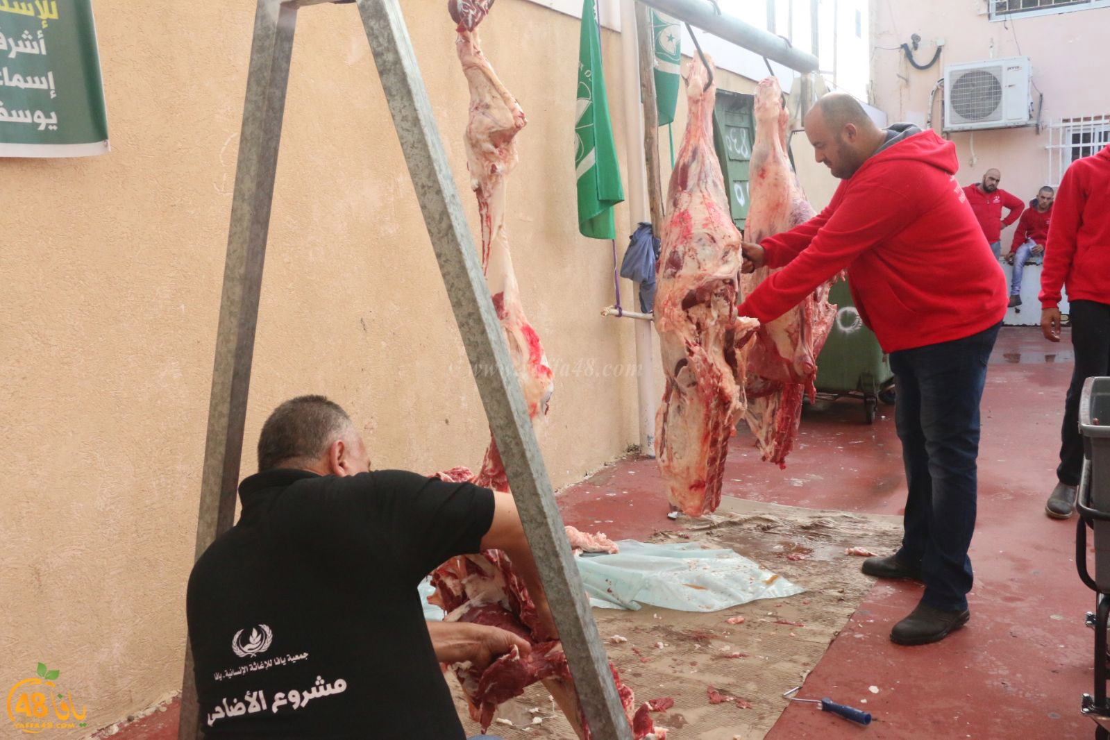 lo7om jam3iya u3 (22).jpg